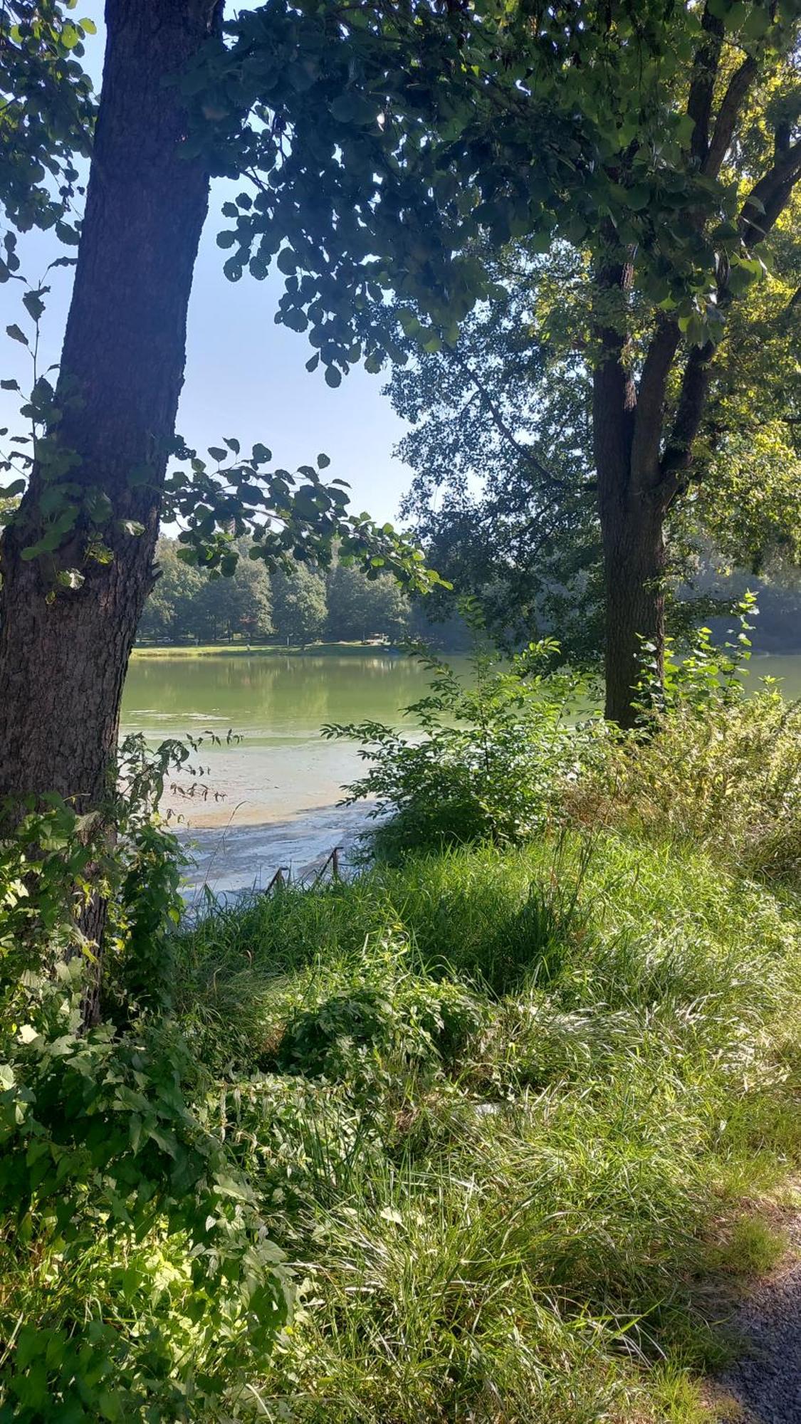 Domki Nad Jeziorem Karlowice Bagian luar foto
